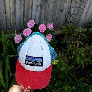 Patagonia Trucker Hat